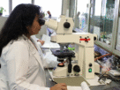 mulheres na ciência