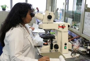 mulheres na ciência